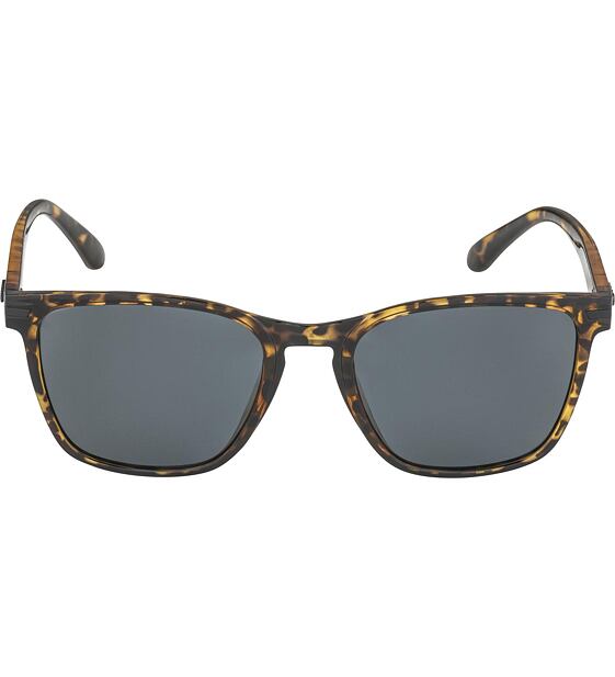 Sunglasses Alpina YEFE POL