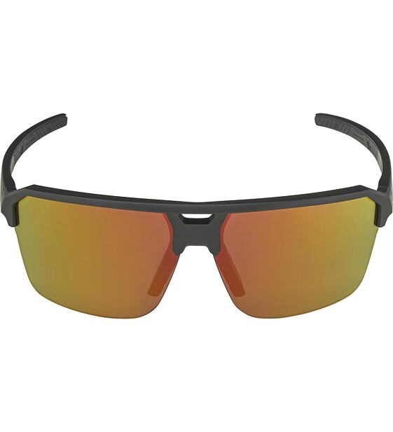 Sunglasses Alpina SWIFT HR