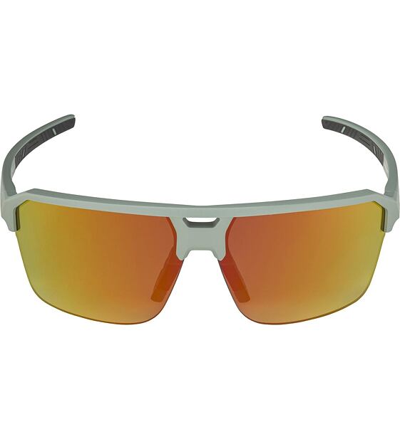 Sunglasses Alpina SWIFT HR