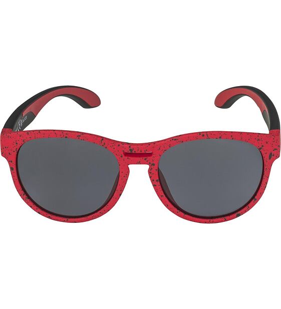 Sunglasses Alpina JOLA