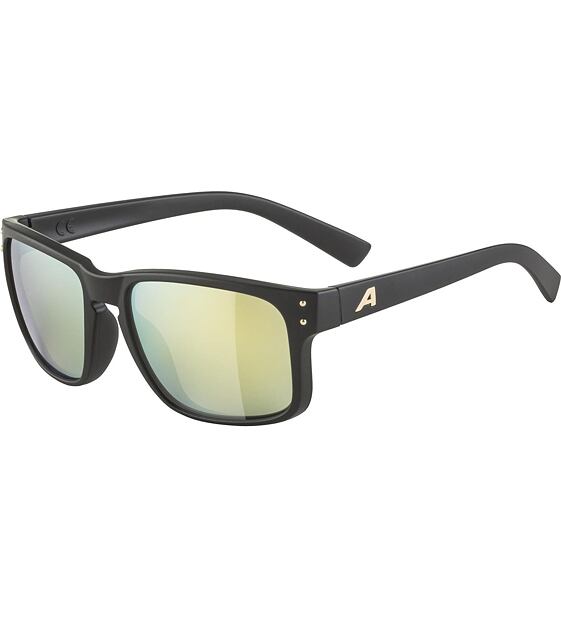 Sunglasses Alpina KOSMIC