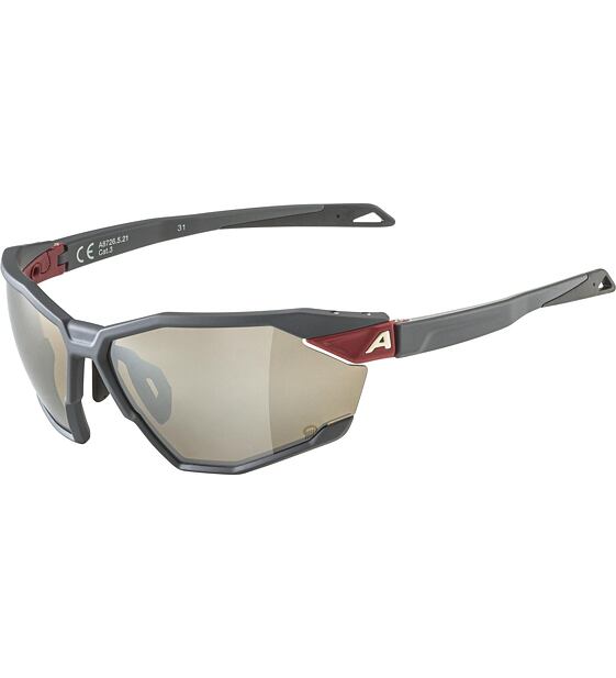 Sunglasses Alpina TWIST SIX Q