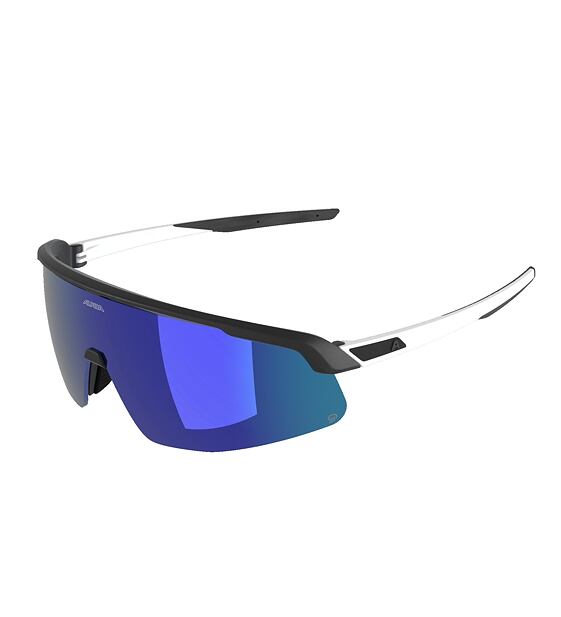 Sunglasses Alpina TURBO PRO Q