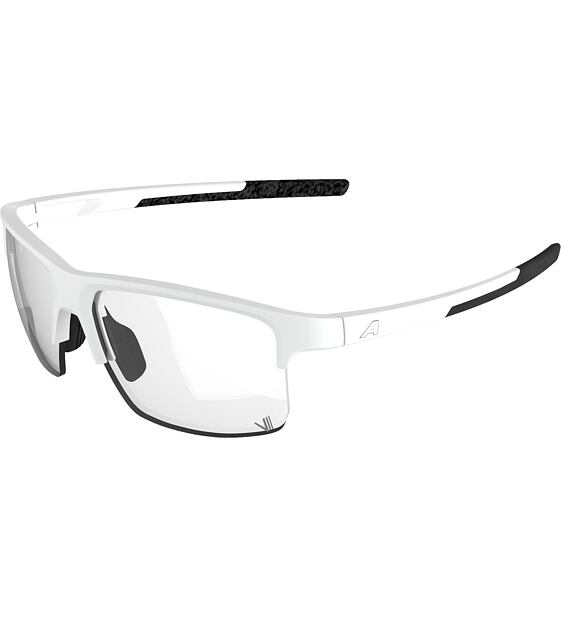 Sunglasses Alpina EAGLE V