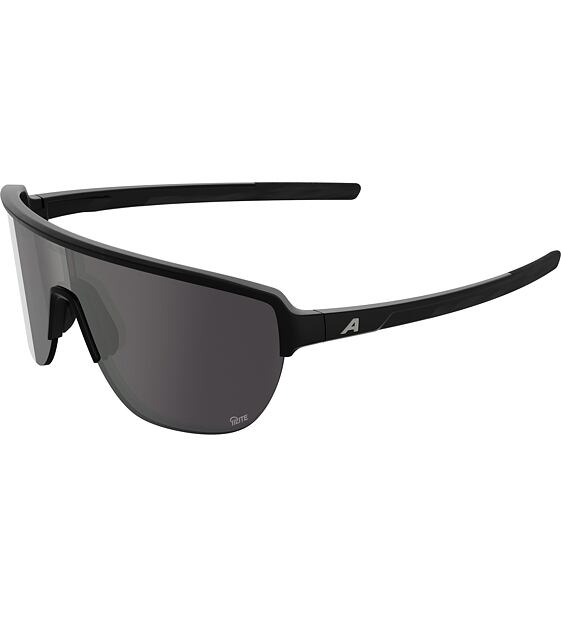 Sunglasses Alpina Ram 2.0 Q-Lite