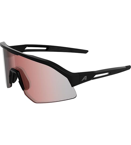 Sunglasses Alpina SONIC HR M QV