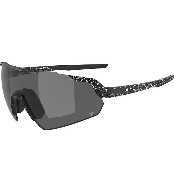 Sunglasses Alpina TURBO AIR V