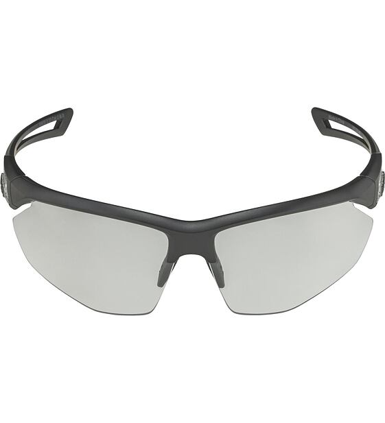 Sunglasses Alpina NYLOS HR