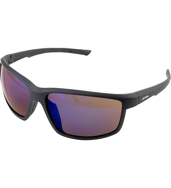 Sunglasses Alpina DEFEY