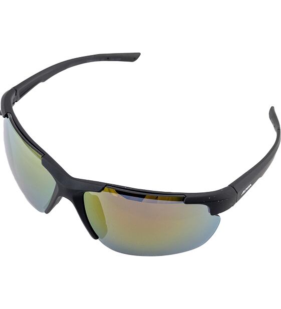 Sunglasses Alpina DEFEY HR