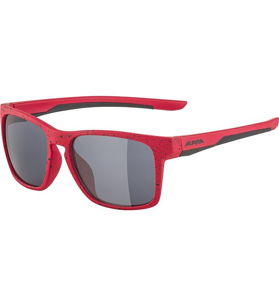 Sunglasses Alpina FLEXXY COOL KIDS I
