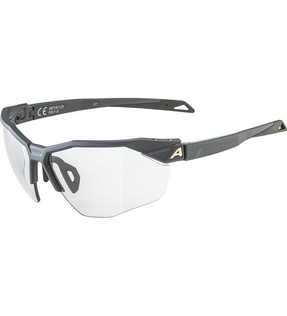 Sunglasses Alpina TWIST SIX HR V