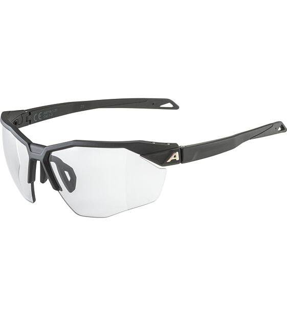 Sunglasses Alpina TWIST SIX HR V