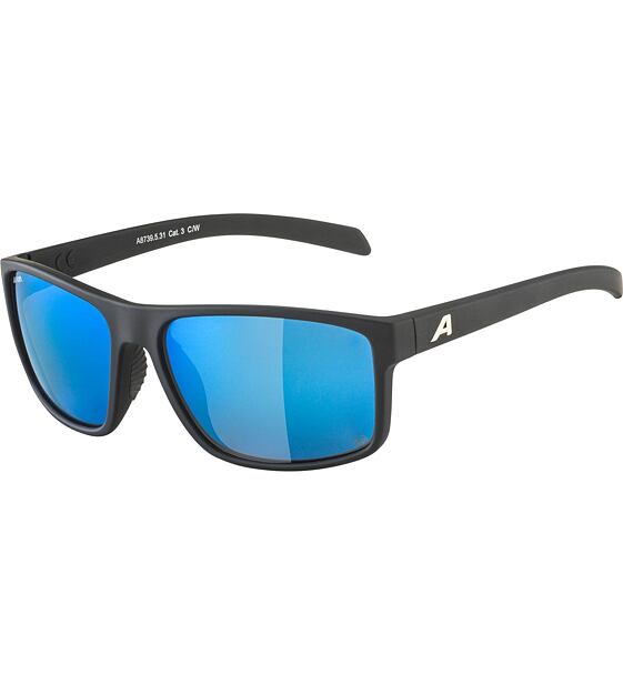 Sunglasses Alpina Nacan I Pol