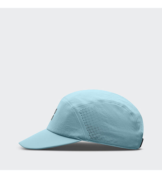 Cap On Performance Cap