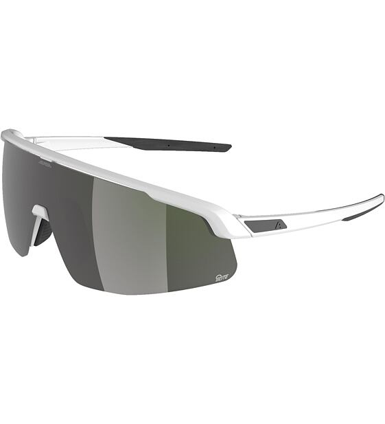 Sunglasses Alpina Turbo Pro S Q-Lite