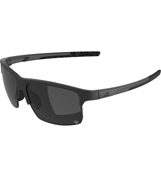 Sunglasses Alpina Eagle Q-Lite