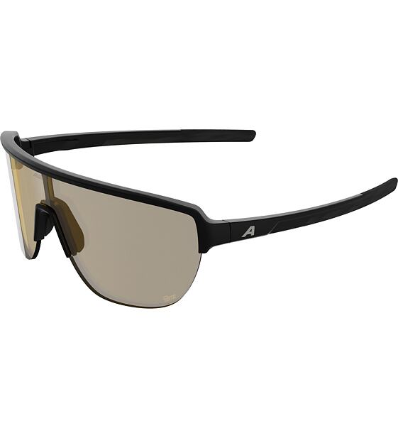 Sunglasses Alpina Ram 2.0 Q-Lite