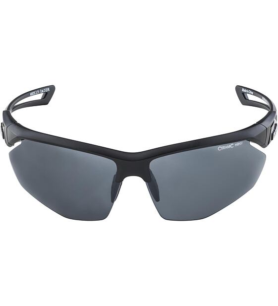 Sunglasses Alpina NYLOS HR
