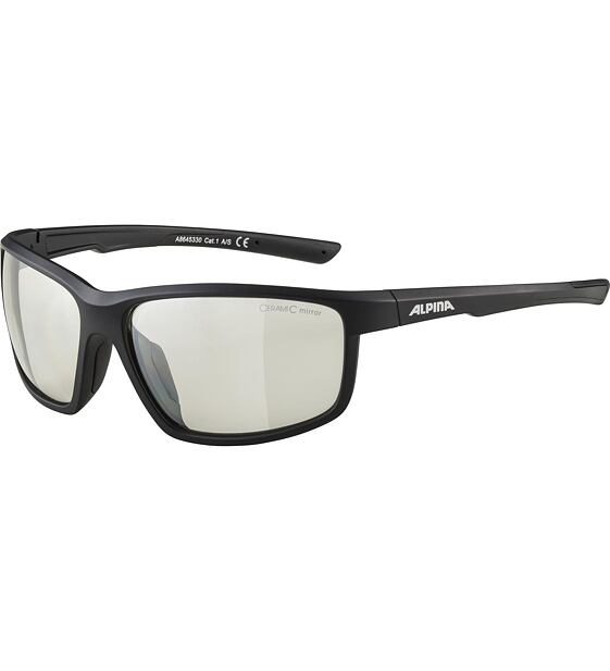 Sunglasses Alpina DEFEY