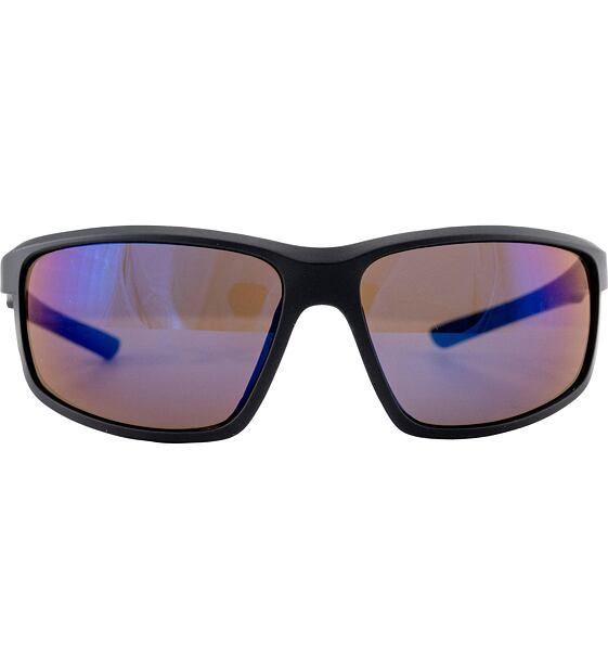 Sunglasses Alpina DEFEY
