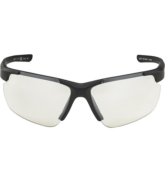 Sunglasses Alpina DEFEY HR