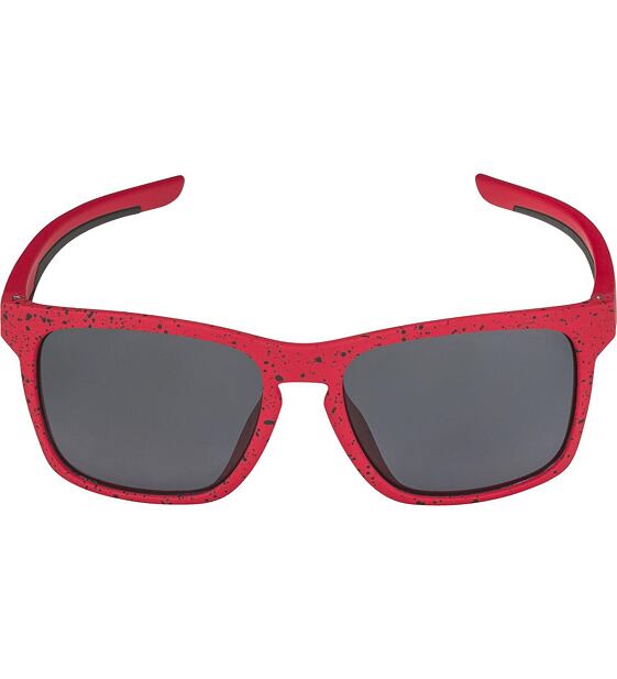 Sunglasses Alpina FLEXXY COOL KIDS I