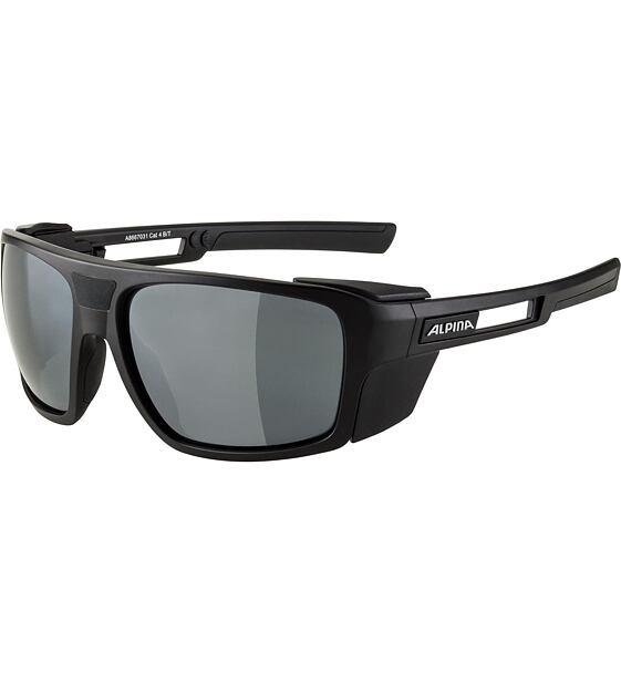 Sunglasses Alpina SKYWALSH