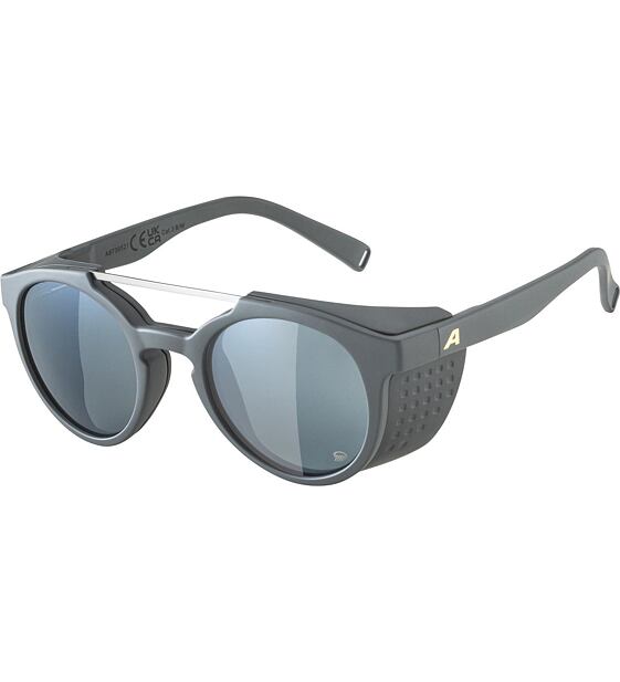 Sunglasses Alpina GLACE POL