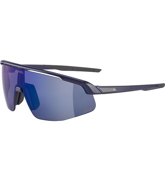 Sunglasses Alpina Turbo Pro Q-Lite