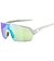 Sunglasses Alpina TURBO HR