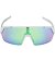 Sunglasses Alpina TURBO HR