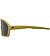 Sunglasses Alpina BONFIRE