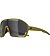 Sunglasses Alpina BONFIRE