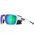 Sunglasses Alpina SKYWALSH Q