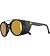 Sunglasses Alpina GLACE POL