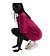 Womens dresses On Club Dress
