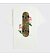 Cariuma T-Shirt Off-White Floral Skateboard
